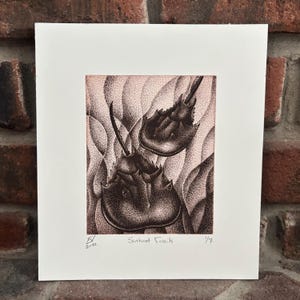 Sentient Fossils - Horseshoe Crab Solar Plate Etching Print