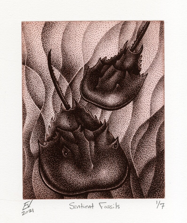 Sentient Drawing Sentient Fossils - Horseshoe Crab Solar Plate Etching Limited Edition ...