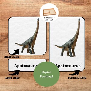 Dinosaurio, tarjetas Montessori de 3 partes, 12 coordenadas Toobs de Safari LTD imprimibles, actividad de vocabulario preescolar, tarjetas imprimibles de prelectura