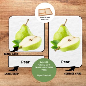 Fruits et légumes, cartes Montessori en 3 parties, 8 coordonnées Toobs Safari LTD, activité de vocabulaire préscolaire, cartes imprimables de prélecture