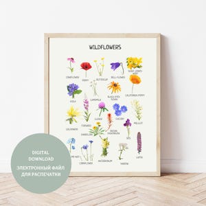 Wildblumen Poster, Lernposter Natur, Blumenposter, Kinderzimmerwandkunst, Kinderzimmer, Montessori Material, digitaler Download