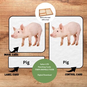 Animales de granja, tarjetas Montessori de 3 partes, 12 coordenadas Toobs de Safari LTD imprimibles, actividad de vocabulario preescolar, tarjetas imprimibles de prelectura