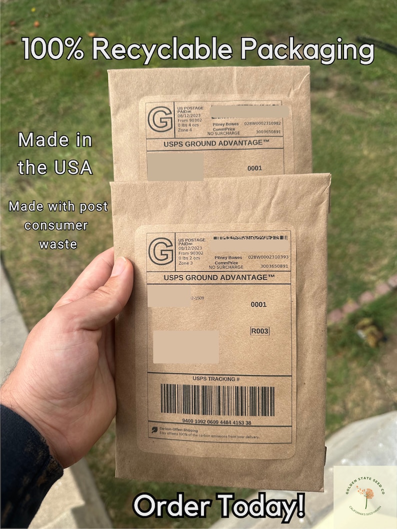 May include: A brown paper envelope with a USPS Ground Advantage label. The label has the text "USPS Ground Advantage" and a tracking number. The envelope also has the text "100% Recyclable Packaging" and "Made in the USA". The envelope is being held by a hand. The text "Order Today!" is printed on the bottom of the envelope.