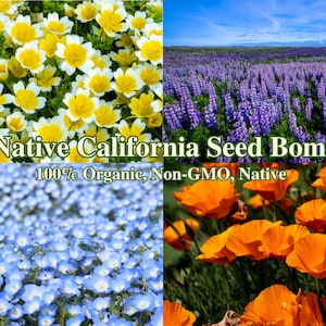 California Native Seeds Native Wildflower Seed Mix Wild Flower Garden Seeds for Pollinators Hummingbird Landscape Native Seed for Pollinator