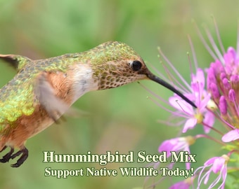 Peut inclure: Un colibri aux plumes vertes et brunes survole un groupe de fleurs roses. Le texte "Hummingbird Seed Mix Support Native Wildlife Today!" est sous le colibri.