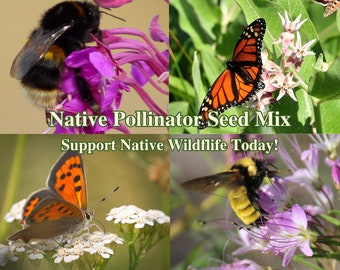 Pollinator Flower Seed Mix American Wild Flowers for Pollinators Garden California Native Wildflowers for Pollinators Seeds for Pollinators