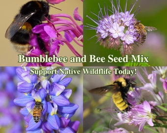 Bee Flower Seed Mix American Native Wild Flowers for Bee Garden Drought Landscape California Wildflower for Bumblebees Seeds for Native Bees