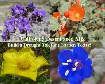 Drought Tolerant California Native Flowers Desert Seeds Native Wildflower Seed for Drought Wild Flower Garden Seeds for Xeriscape Landscape