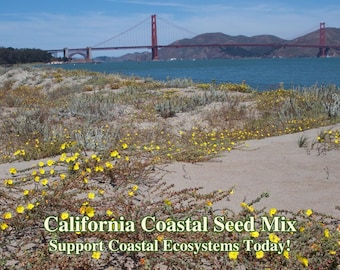 California Coastal Wildflower Seed Mix for Native Seaside Pollinator Gardens