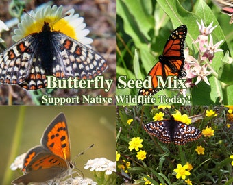 Butterfly Flower Seed Mix American Native Wild Flowers for Sustainable Landscape California Wildflower for Pollinator Seeds for Butterflies