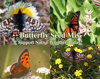 Butterfly Garden Seed Mix - Native California Wildflowers