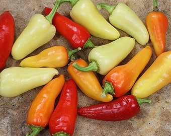 Santa Fe Grande Seeds - Heirloom Plant Variety - Capsicum annuum - Protect Biodiversity Today!