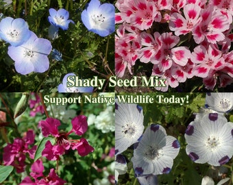 Shade Flower Seed Mix for Shade Flowers Gardens American Native Seeds for Pollinator Landscape for Sustainable Homes Native WildFlower Lawn