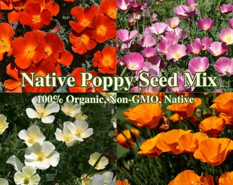 California Native Seeds Poppy Seed Mix  for Drought Tolerant Garden for Pollinators Wildflower landscape for Butterfly Wild Flowers Habitat