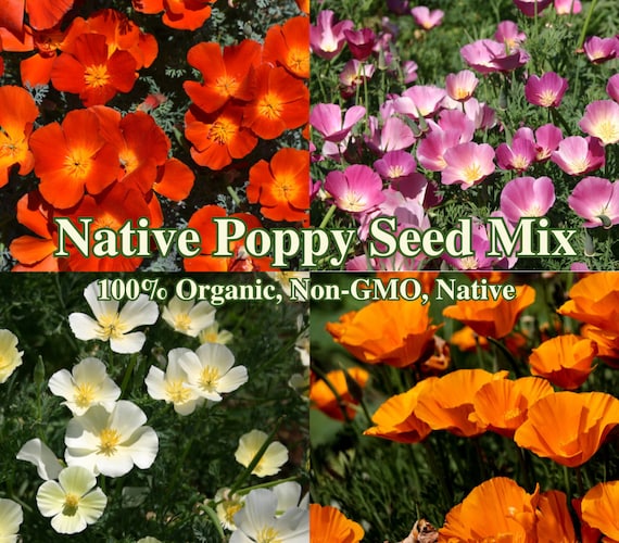 good potting mix for vegetables Potting Mix