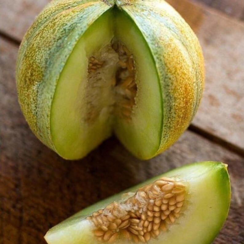 Ha'ogen Melon 200 Seeds - Etsy