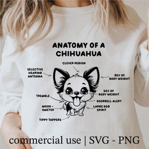 Anatomia Chihuahua Svg, Super słodki pies Chihuahua Png, Cricut Chihuahua Dog Svg czarno-biały nadruk, zastosowanie komercyjne