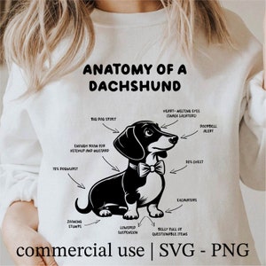 Funny Dachshund Dog Svg, Anatomy Of A Dachshund Svg, Dachshund Lover png, Cricut Dachshund Svg Black And White Print, Commercial Use