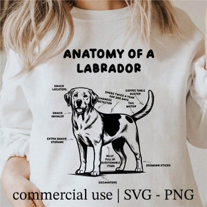 Anatomy Of A Labrador Svg, Super Cute Labrador Dog Png, Cricut Labrador Dog Svg Black And White Print, Commercial Use