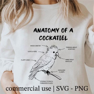 Anatomy Of A Cockatiel Svg, Anatomy Of A Parrot Svg, Parrot Png, Parrot Clipart, Cricut Parrot Svg Black And White Prints, Commercial Use