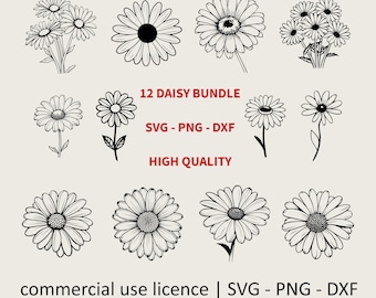12 Pieces In Bundle Daisy Flower Svg, Png, Dxf, Daisies Svg For Shirt, Simple Daisy Svg, Daisy Svg Files For Cricut, Commercial Use License