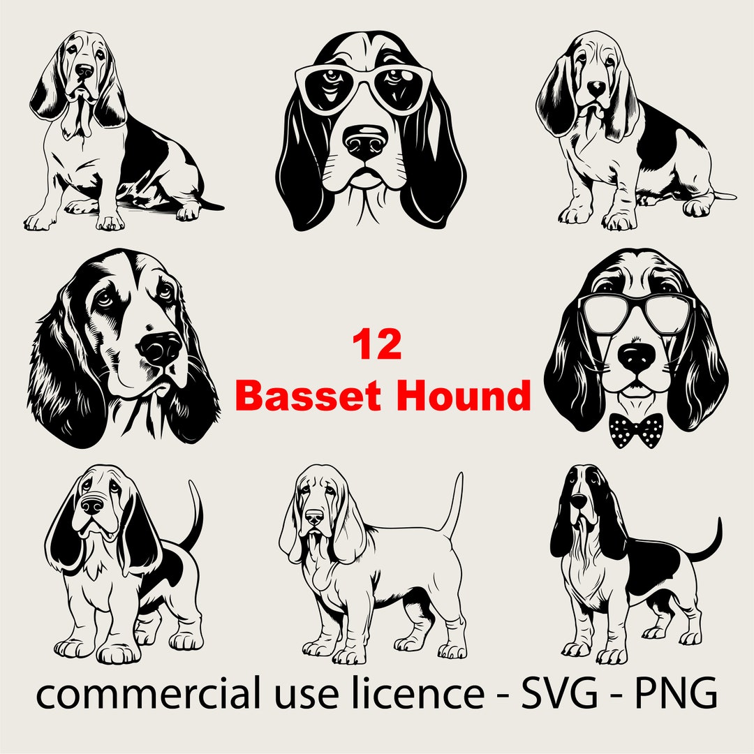 Basset Hound Svg Bundle, Cute Basset Hound Puppy Png, Basset Hound