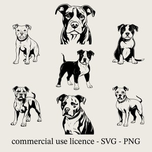 American Staffordshire Terrier Svg Bundle, American Pit Bull Terrier Svg, Dog Bundle Svg Black And White Prints, Commercial Use License