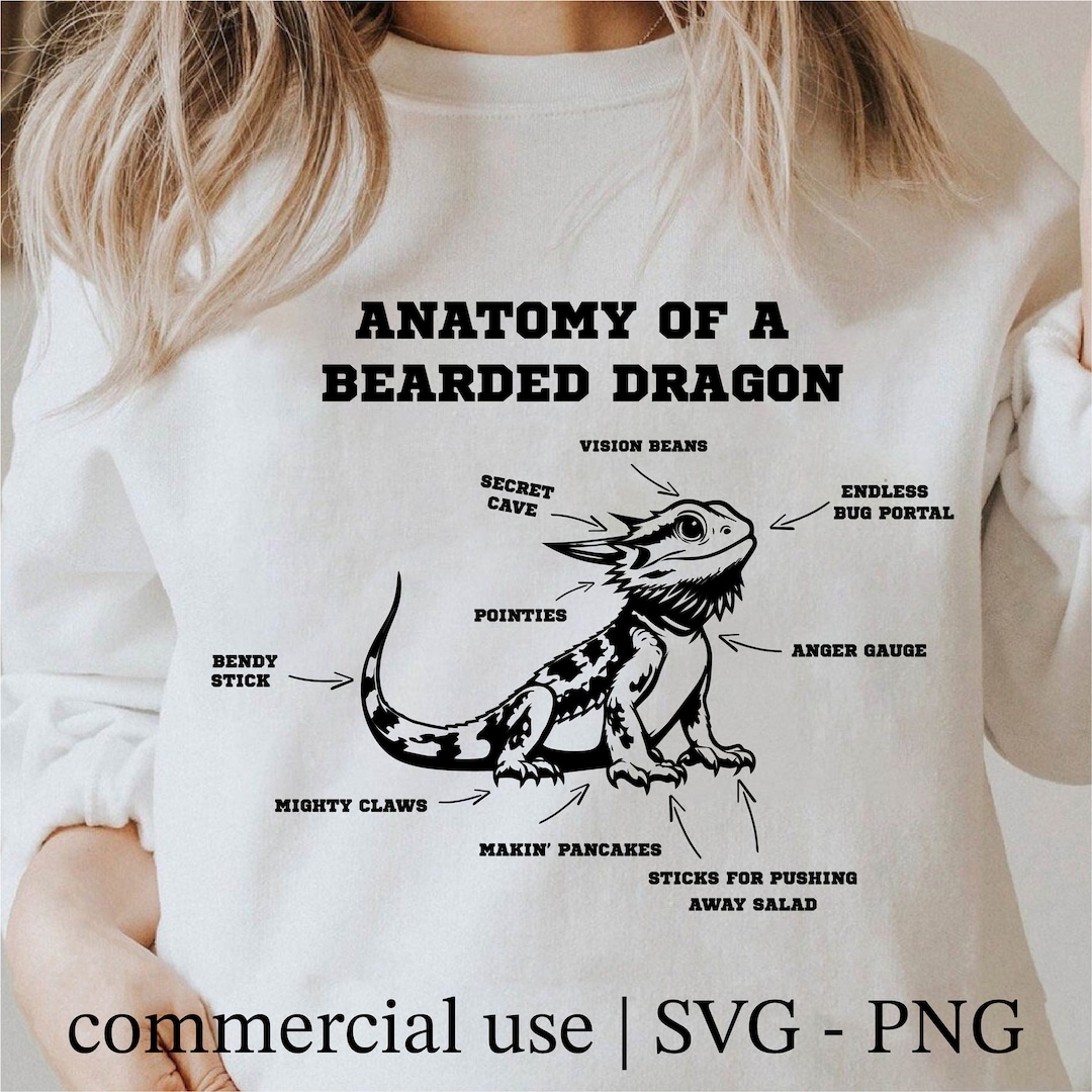 Cool Bearded Dragon Svg, Anatomy of A Bearded Dragon Svg, Bearded ...
