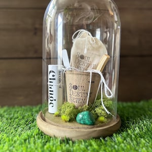Seeds of Change - Friendship & Community - Manifestation DIY Seedling Kit