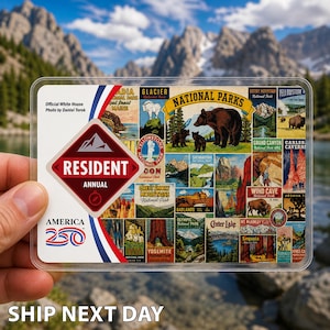May include: A clear plastic National Parks pass featuring a collage of vintage-style illustrations of various national parks. The pass includes the text "Resident Annual" and "America 250". The background shows a mountain range.