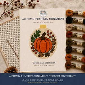 Könnte beinhalten: Eine Autumn Pumpkin Ornament Nadelstichvorlage von White Oak Stitchery. Das Papiermuster zeigt eine orangefarbene Kürbisgrafik mit Blättern und Beeren, begleitet von acht beschrifteten Stickgarnsträngen in verschiedenen Erdtönen.