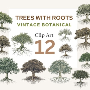 Watercolor Tree with Roots Clipart, Vintage Botanical, Scrapbooking Clipart Set, Family Tree PNG Bundle,Nature Seasonal Tree Sublimation Png