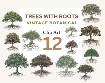 Watercolor Tree with Roots Clipart, Vintage Botanical, Scrapbooking Clipart Set, Family Tree PNG Bundle,Nature Seasonal Tree Sublimation Png