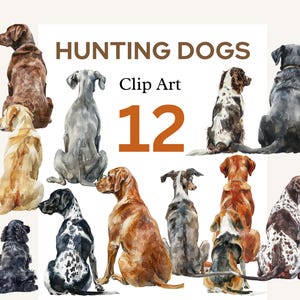 Op de afbeelding: Waterverf clip art set van 12 jachthonden in verschillende poses. De honden zijn afgebeeld in verschillende rassen, waaronder pointers, retrievers en honden. De illustraties zijn in een realistische stijl en bevatten gedetailleerde markeringen en uitdrukkingen.