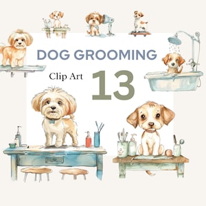 Hund Grooming Clipart Set, Hund Grooming Parlour Aquarell Clipart Bundle, Hund Spa png, Doggy Parlor Clipart, Hund Friseure, Haustierpflege