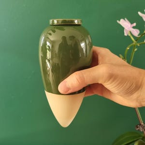 Può includere: Un vaso in ceramica verde con finitura lucida e base color crema. Il vaso ha una forma arrotondata e un coperchio. Lo sfondo è verde pieno, con una pianta e fiori sul lato destro.