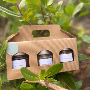 Gourmet artisanal box - 3 spreads 90g: Hazelnut chocolate, Dulce de Leche, Dark chocolate Gianduja praline
