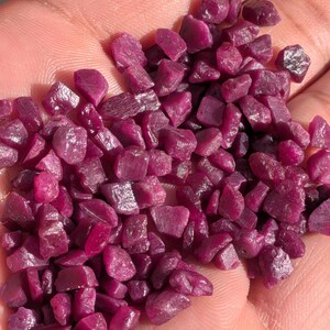 May include: A handful of raw, uncut ruby gemstones. The rubies are a deep, rich red-purple color, with a rough, irregular texture. The gemstones are small, ranging in size from approximately 0.1 to 0.5 inches.