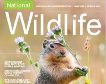 National Wildlife – Spring 2024