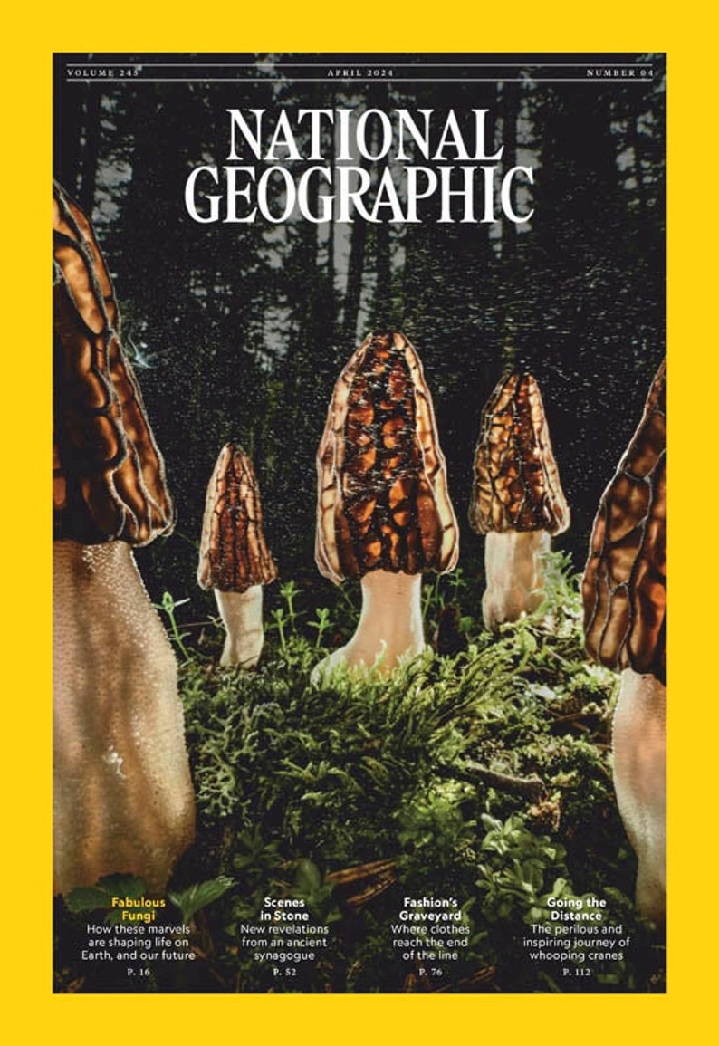 National Geographic Magazine UK April 2024 image 1