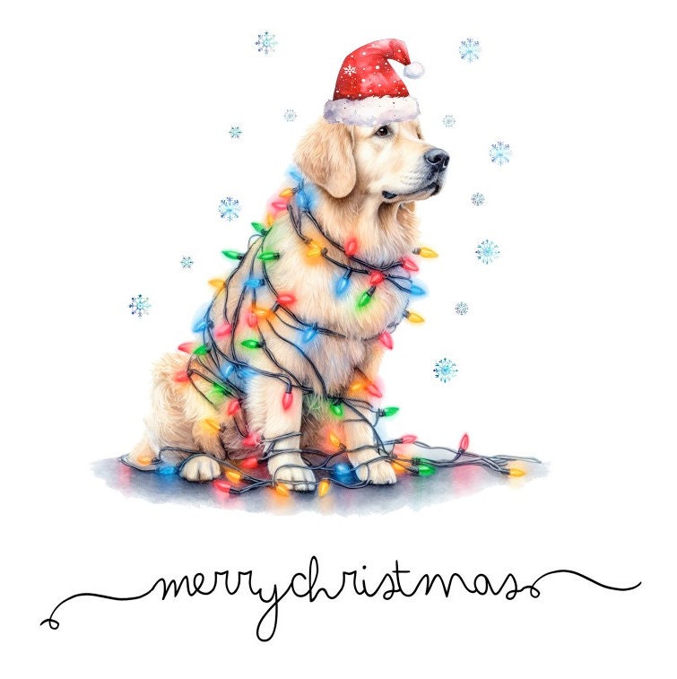 Merry Christmas Dog Card Golden Retriever Xmas Card Lights. - Etsy UK