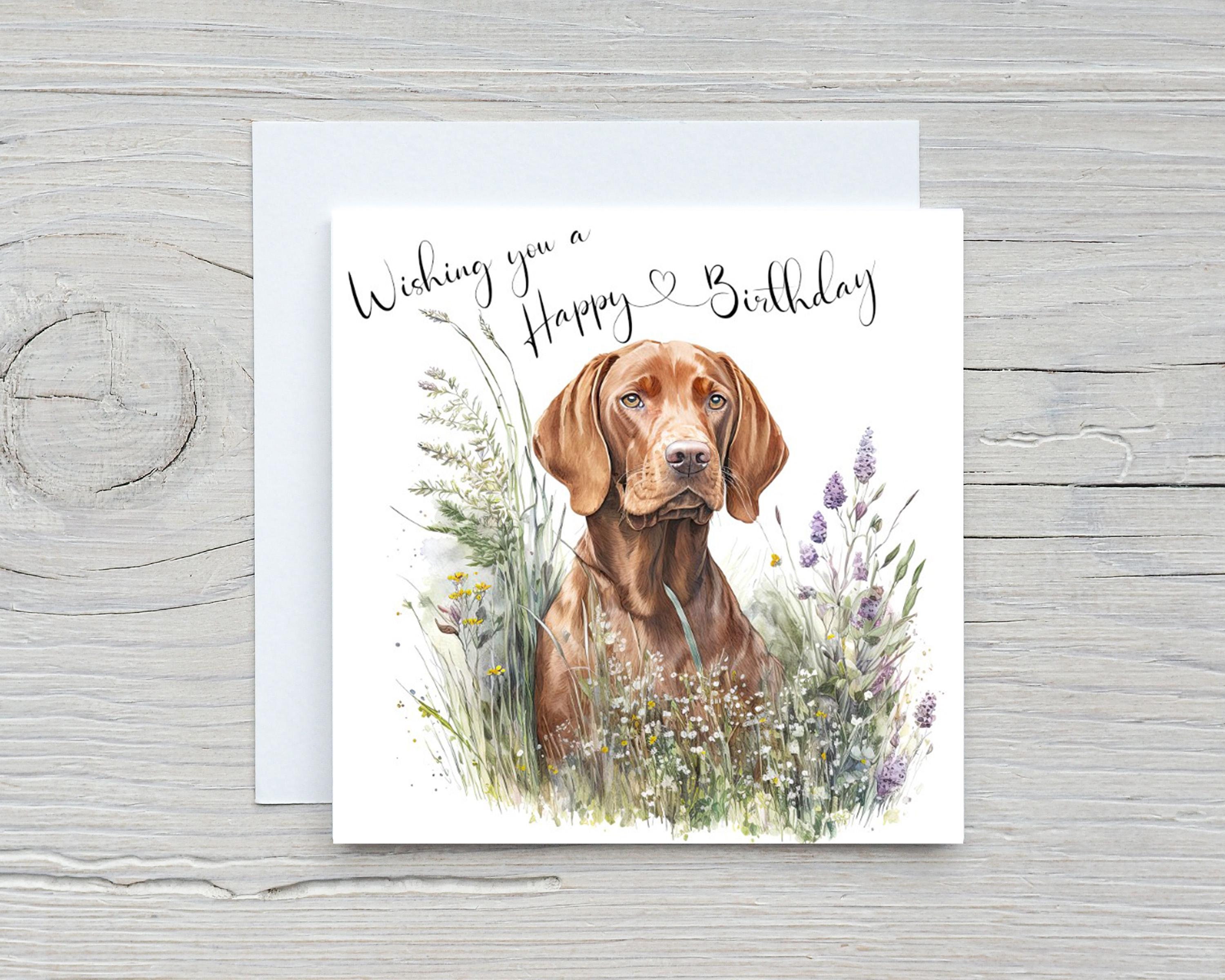 Vizsla Hund Geburtstagskarte – 1 Klappkarte, 12,7x17,8 Cm, Innen Blanko – Für Dank, Genesung, Geburtstag