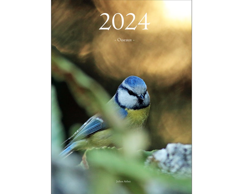 Nature Calendar 2024 Birds Etsy