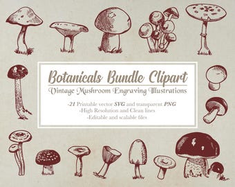 Vintage Mushroom Clipart Bundle: Botanical Line Art (SVG & PNG)