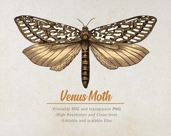 Vintage nachtvlinder clipart: SVG, png-insect illustratie (digitale download)