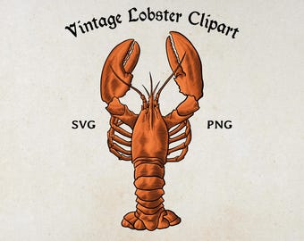 lobster smoking a cigarette Smoking Lobster, Cartoon Mascot Illustration Character Vector Logo Clip Art  Hand Drawn Design