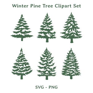 May include: A set of six green winter pine tree clip art illustrations. The trees vary in shape and detail, with a simple, clean design. The text "Winter Pine Tree Clipart Set" is at the top, and "SVG - PNG" is at the bottom.
