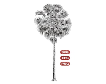 Vintage Palm Tree SVG PNG Clipart for Print and Craft