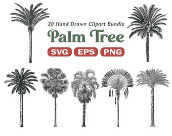 Palmboom SVG-clipartbundel - vintage handgetekende tropische plant, png