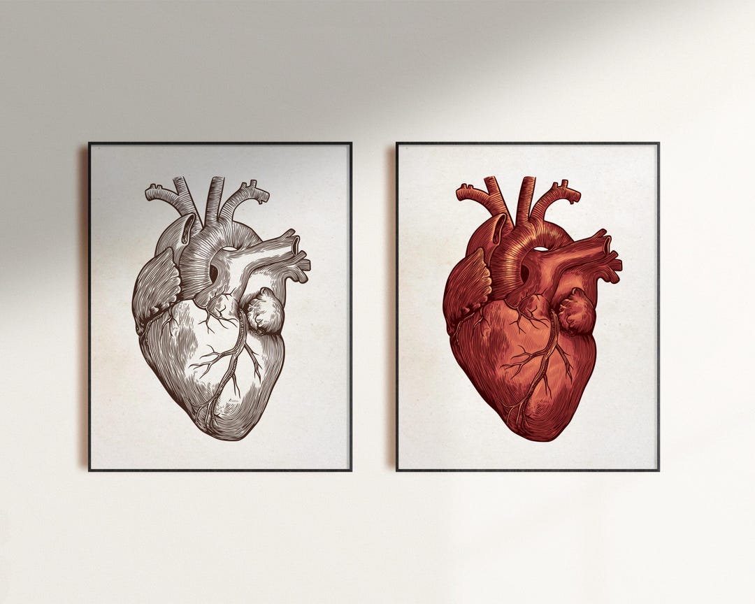 Anatomical Heart Wall Art SVG – Vintage Human Heart Poster, Hand Drawn ...